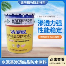 水泥基滲透結(jié)晶防水涂料透明防水膠衛(wèi)生間外墻一刷止漏裂縫防水